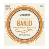 D'Addario EJ55 - 5-String Banjo Phosphor Bronze 10-23